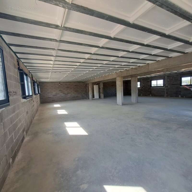 Commerce à SAINT-MITRE-LES-REMPARTS