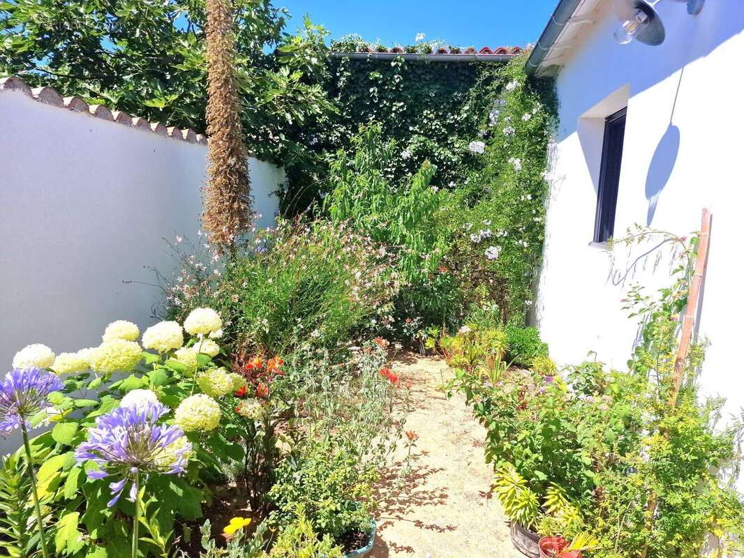 Maison à SAINTE-MARIE-DE-RE