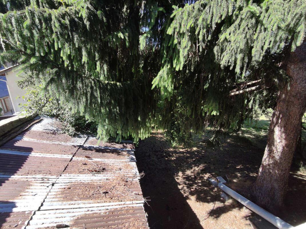 Photo 7 - Maison à VALDEBLORE