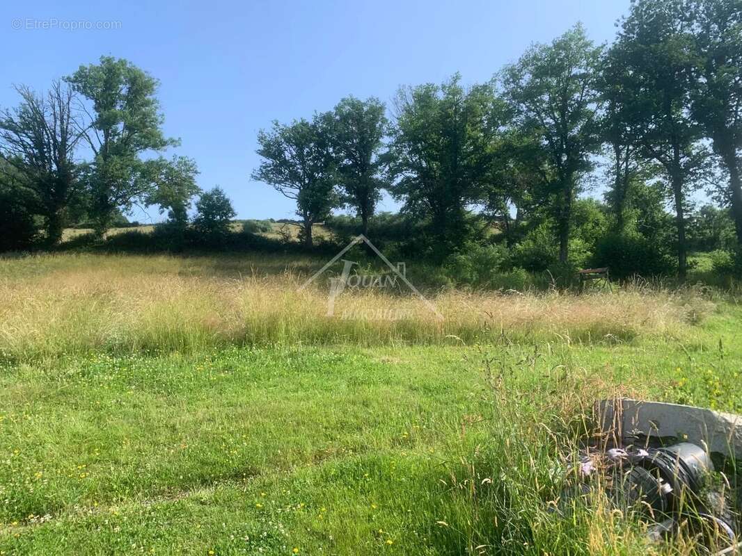 Maison à COSNE-D&#039;ALLIER