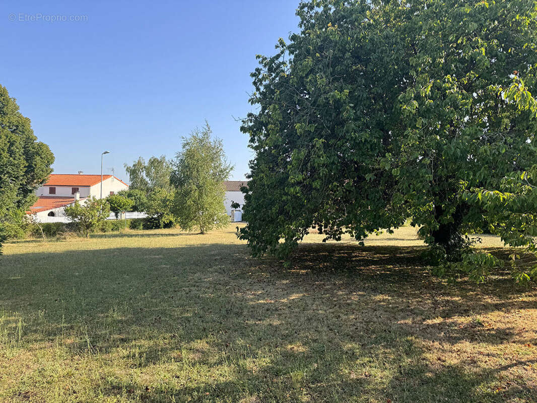 Maison à PUY-DU-LAC