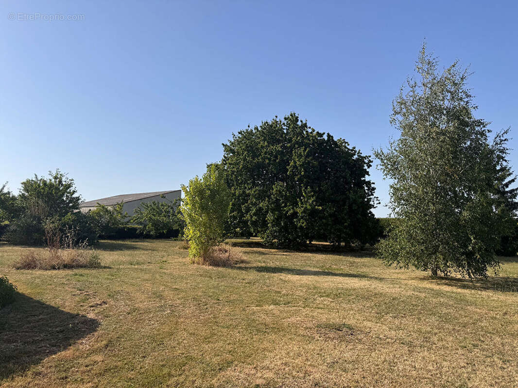 Maison à PUY-DU-LAC