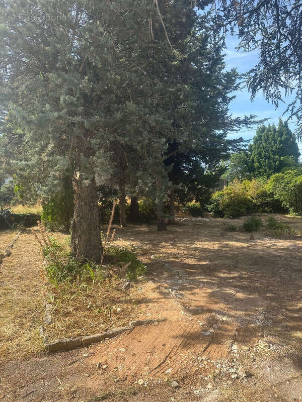 Terrain à FONTVIEILLE