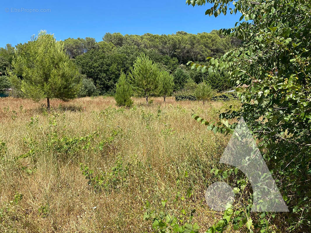Terrain à LORGUES