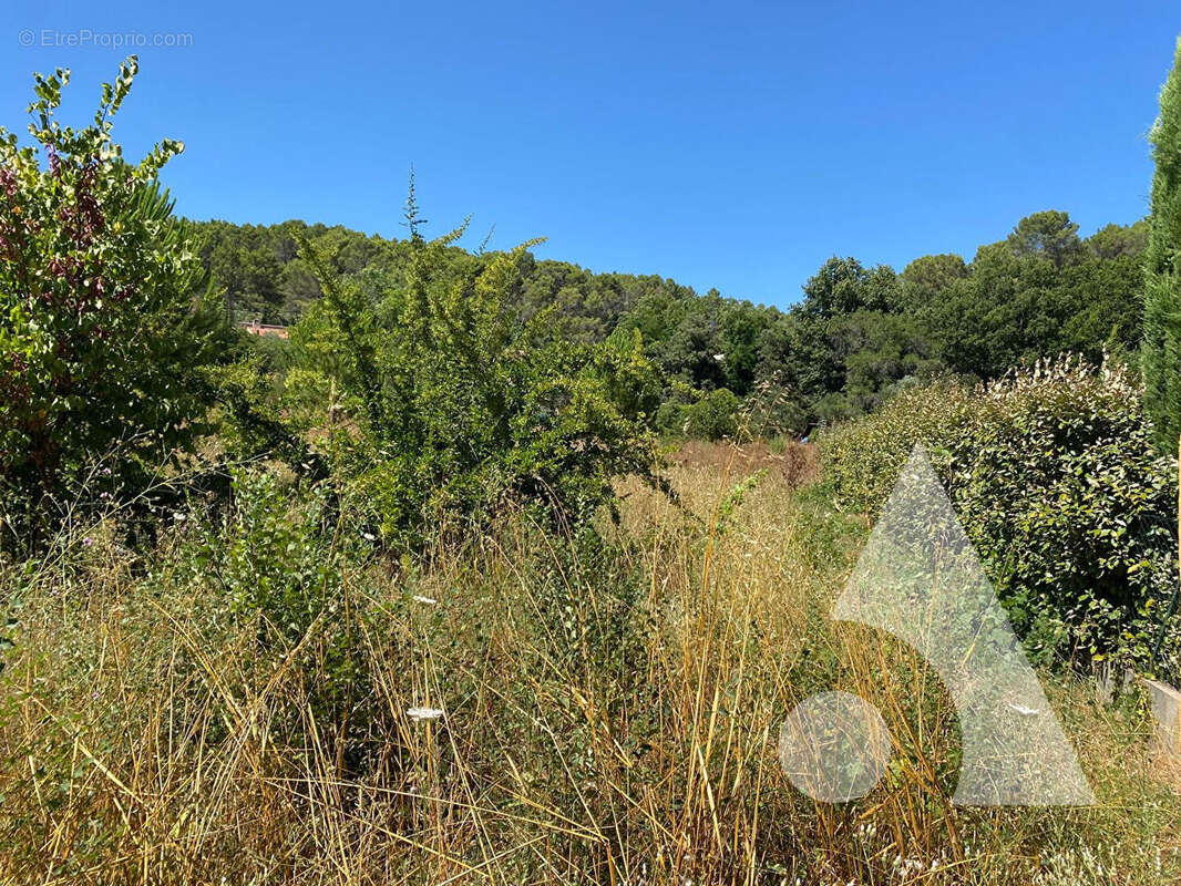 Terrain à LORGUES