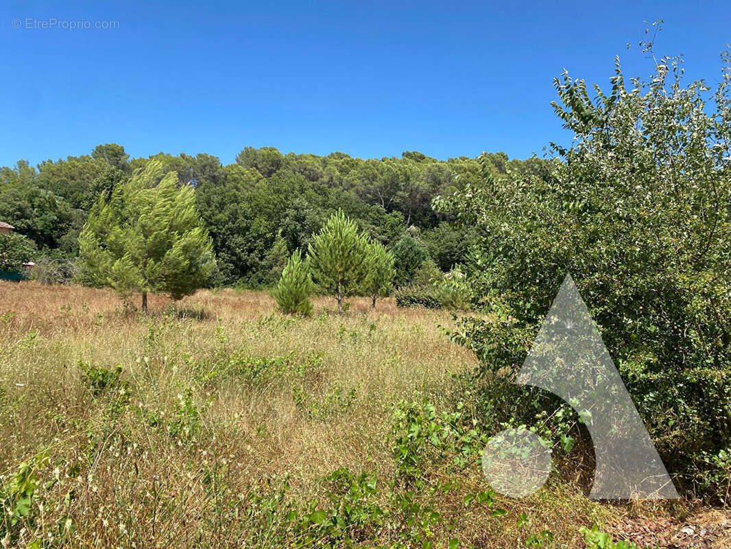 Terrain à LORGUES