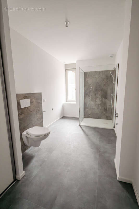 Appartement à LA CLUSE-ET-MIJOUX