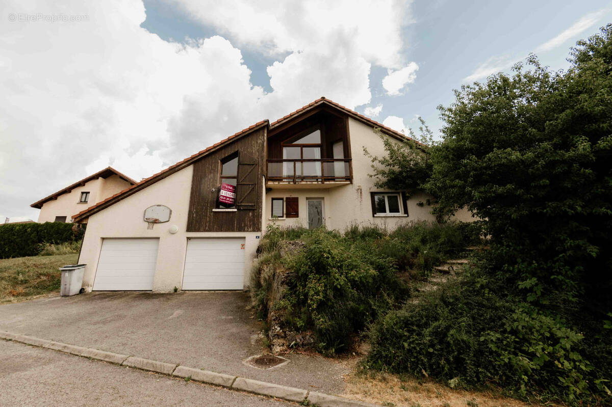 Maison à OYE-ET-PALLET