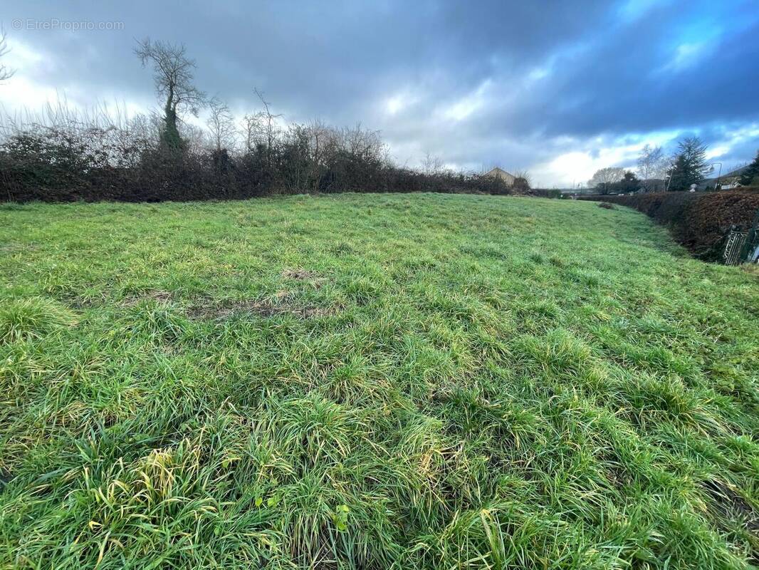 Photo 1 - Terrain à DAMOUZY