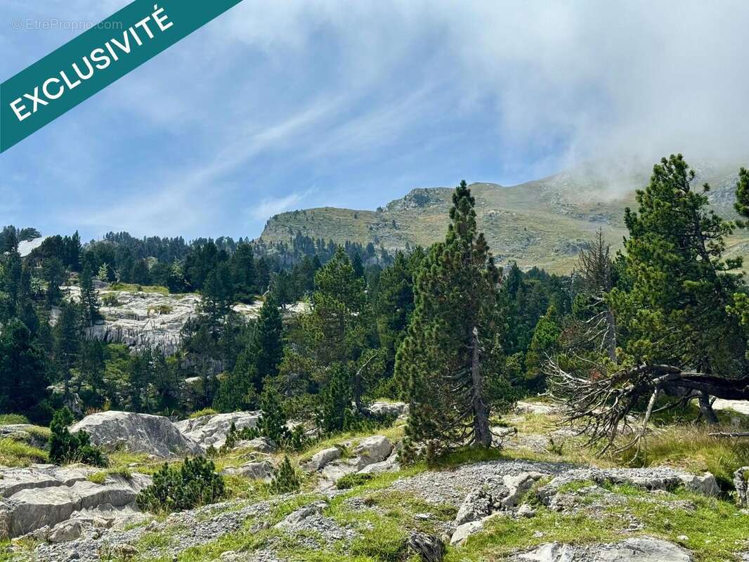 Photo 4 - Appartement à ARETTE