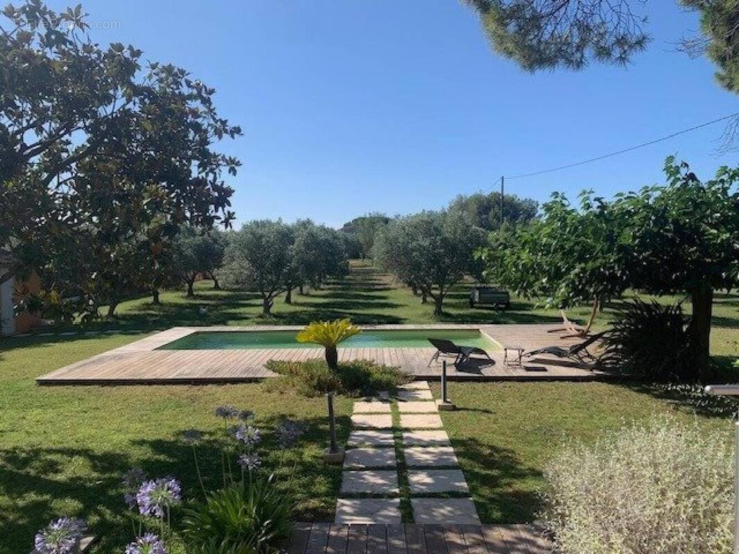 Photo 1 - Maison à BEAUCAIRE