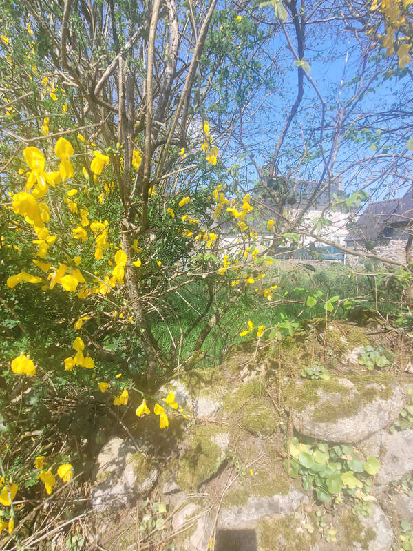 Terrain à LOGUIVY-PLOUGRAS