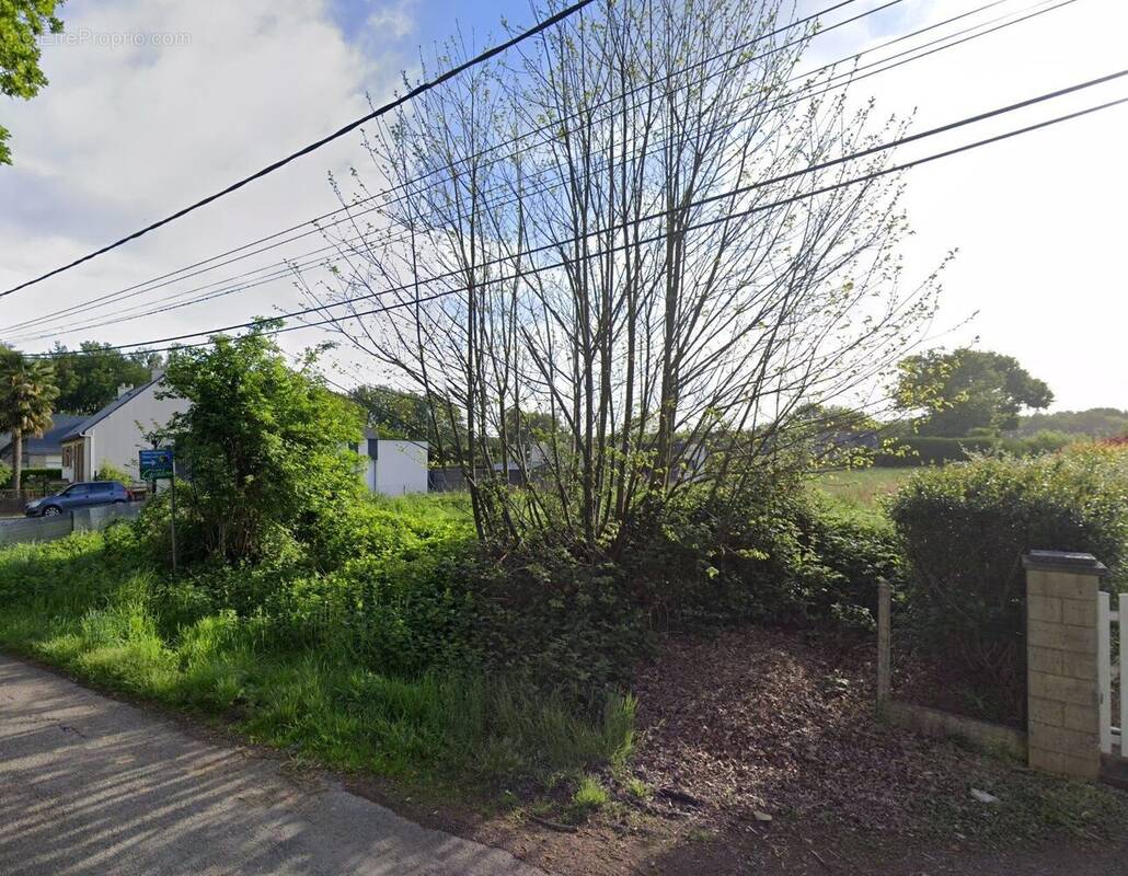 Terrain à SAINT-NICOLAS-DE-REDON