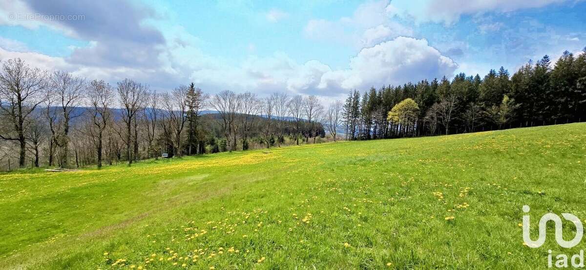 Photo 2 - Maison à SAINT-ETIENNE