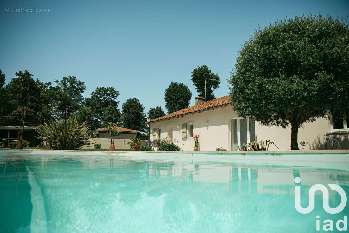 Photo 3 - Maison à SORT-EN-CHALOSSE