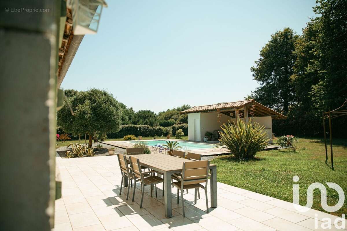 Photo 9 - Maison à SORT-EN-CHALOSSE