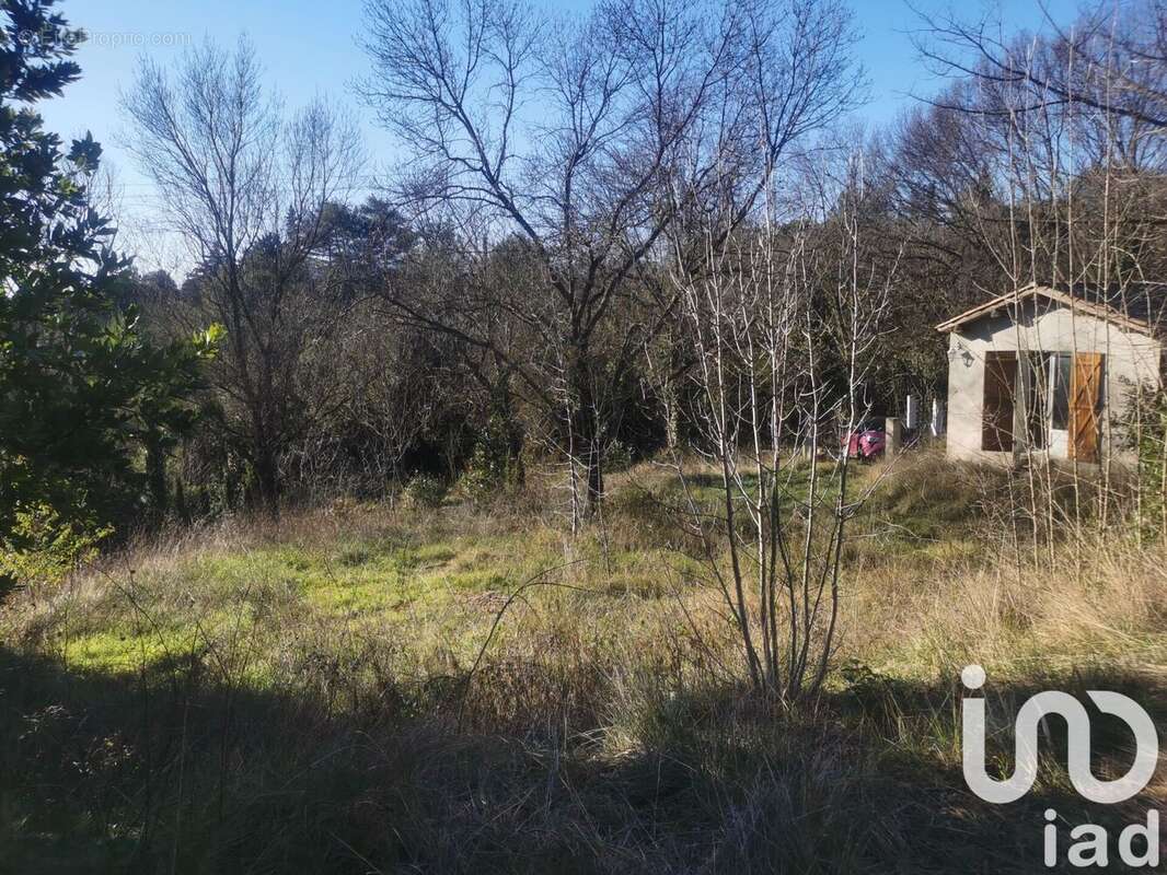 Photo 5 - Terrain à BEDARIEUX