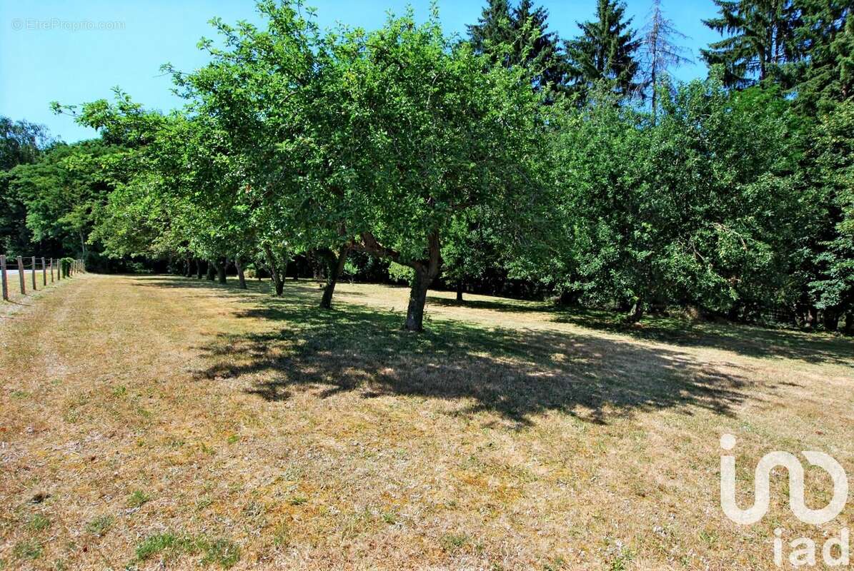 Photo 2 - Terrain à SANTRANGES