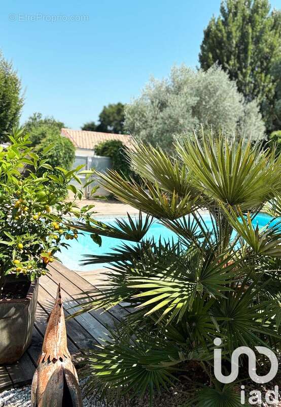 Photo 2 - Maison à SAUJON