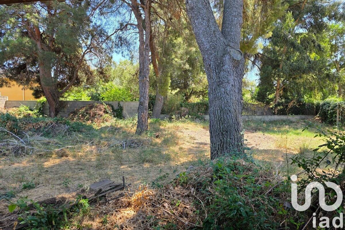 Photo 1 - Terrain à ARLES