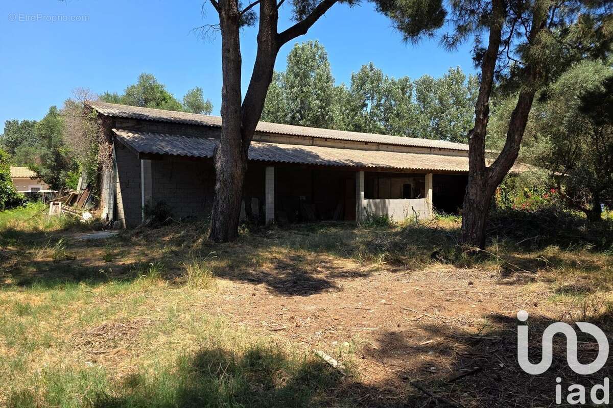 Photo 3 - Terrain à ARLES