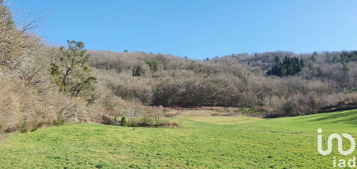Photo 4 - Terrain à MONCEAUX-SUR-DORDOGNE