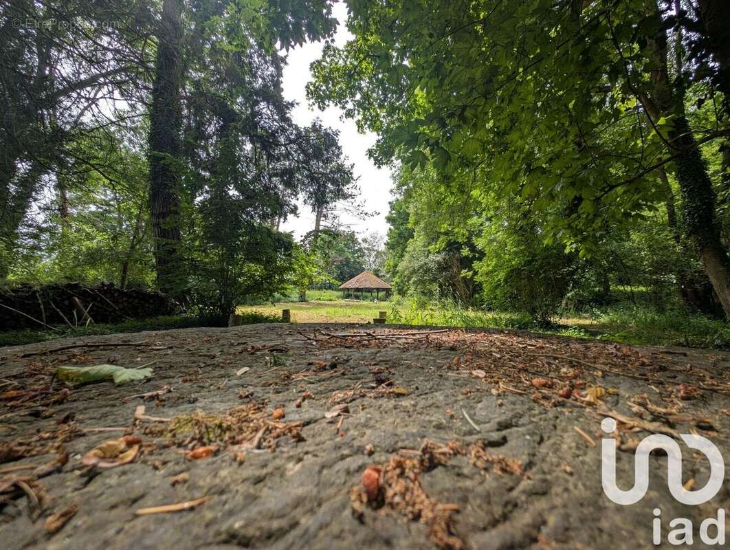 Photo 5 - Maison à COURTENAY