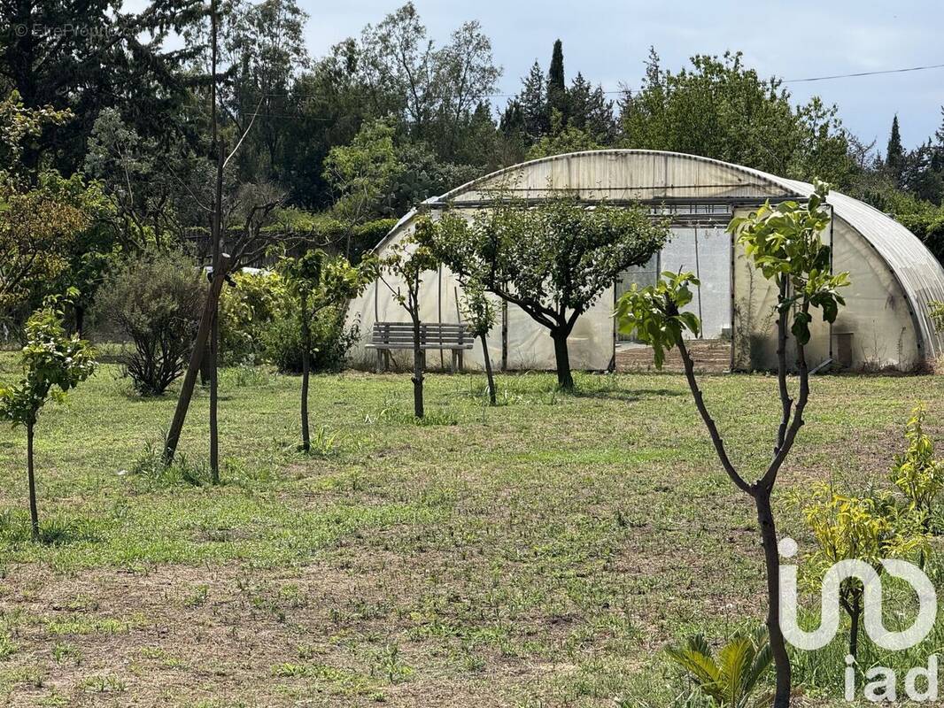 Photo 1 - Terrain à ELNE