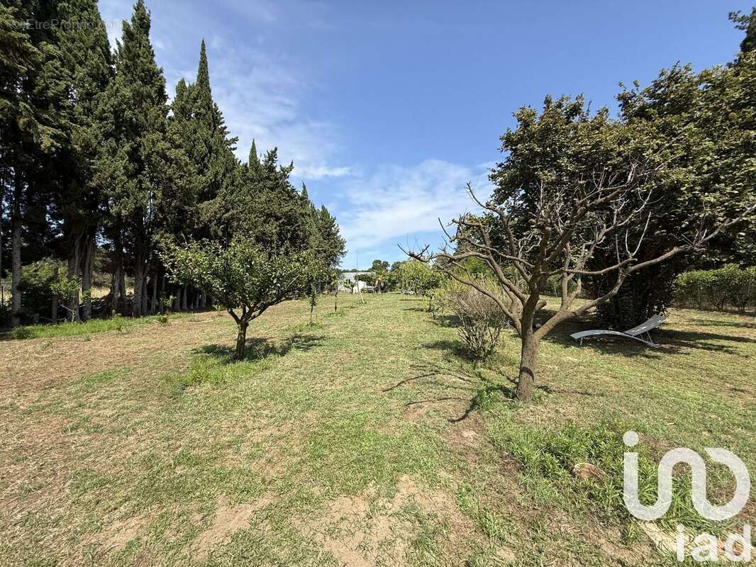 Photo 3 - Terrain à ELNE