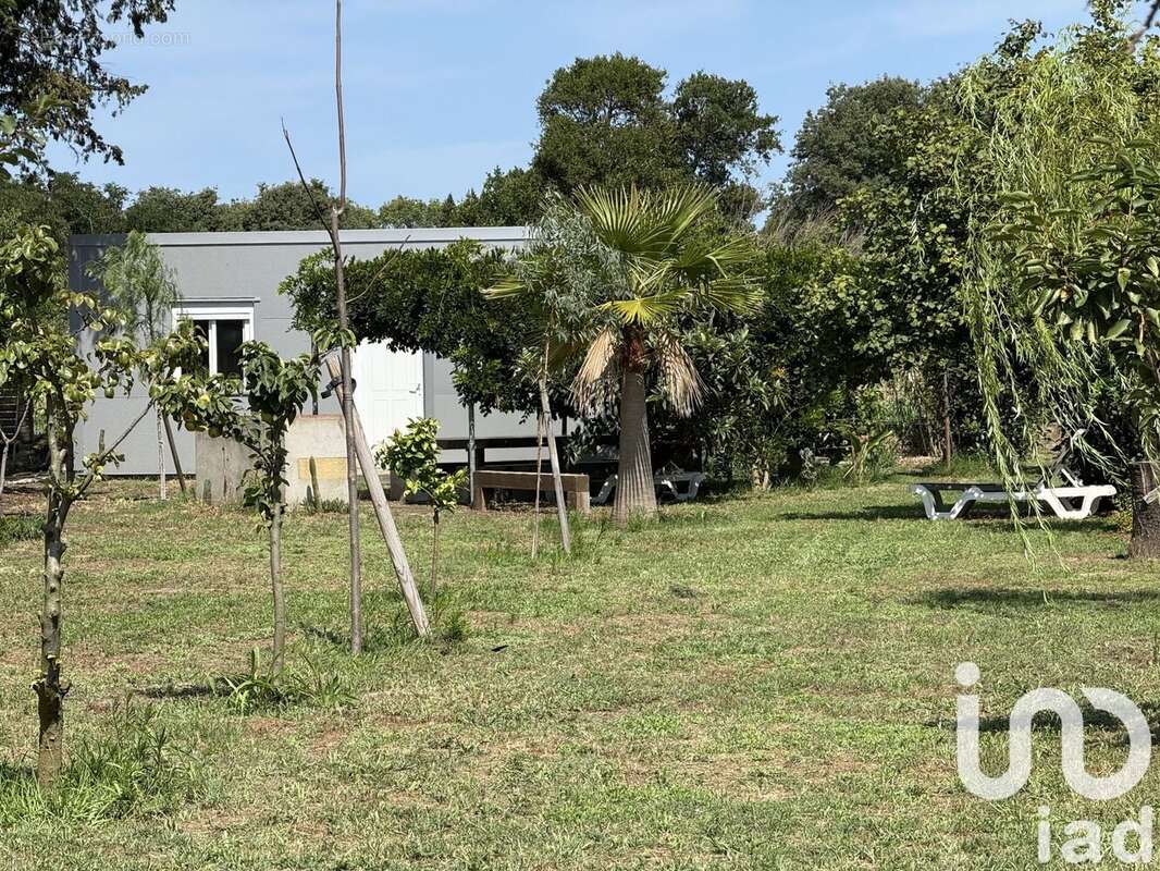 Photo 5 - Terrain à ELNE