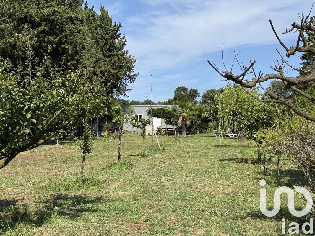 Photo 7 - Terrain à ELNE