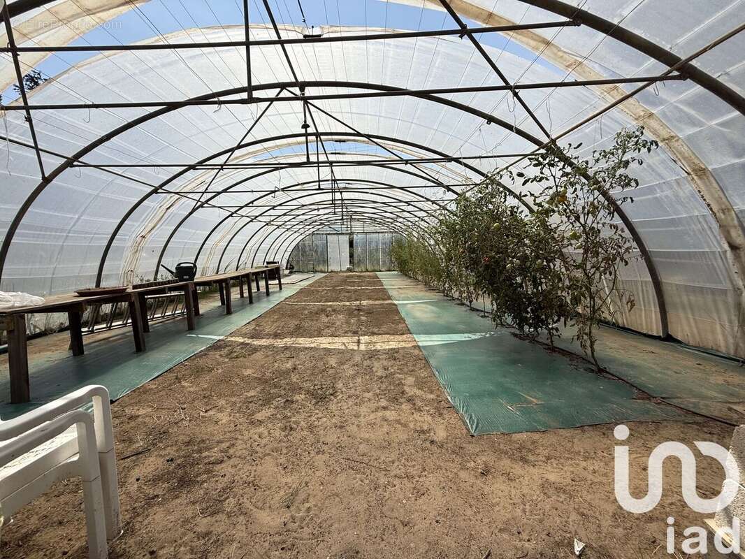 Photo 8 - Terrain à ELNE