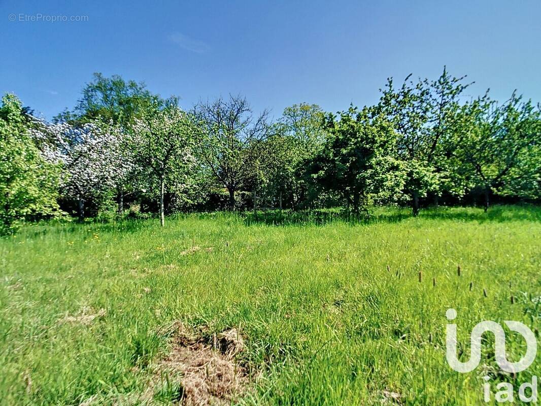 Photo 1 - Terrain à COLEMBERT