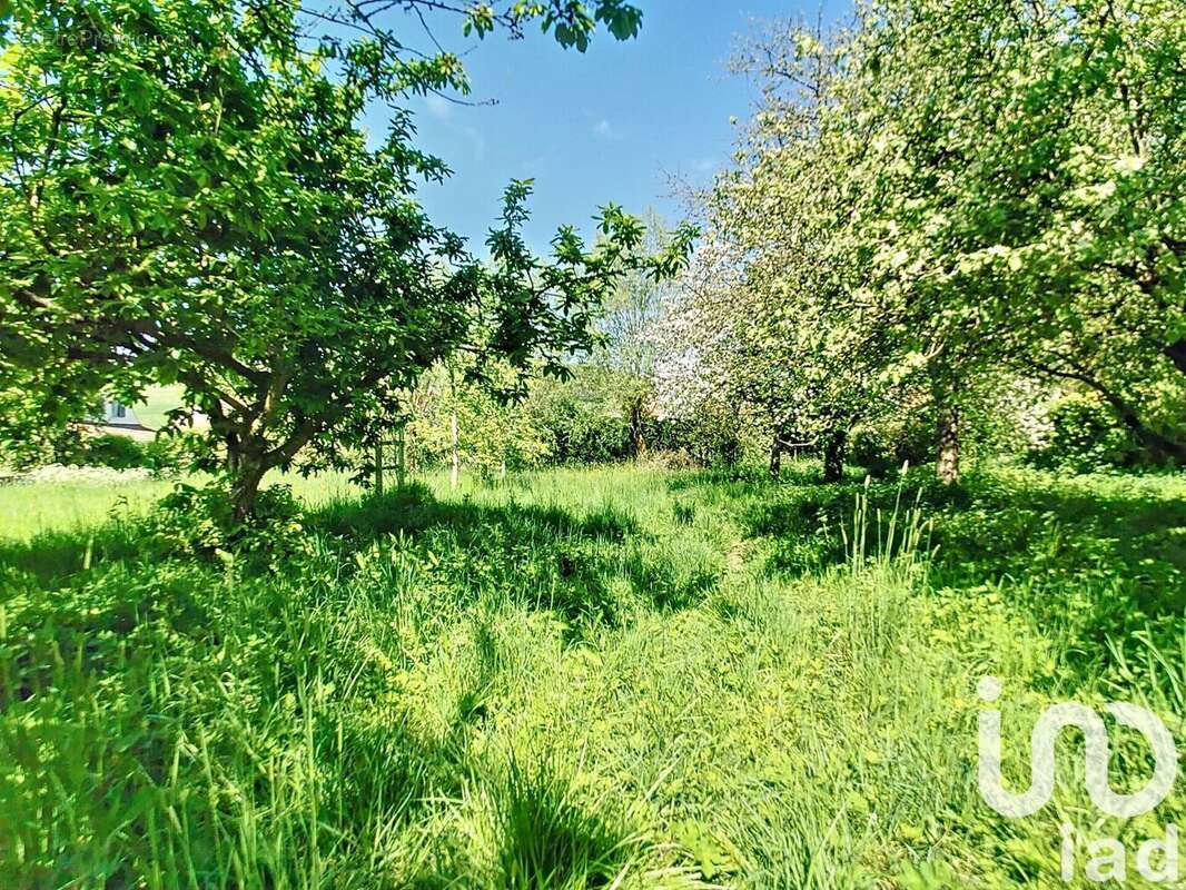 Photo 3 - Terrain à COLEMBERT