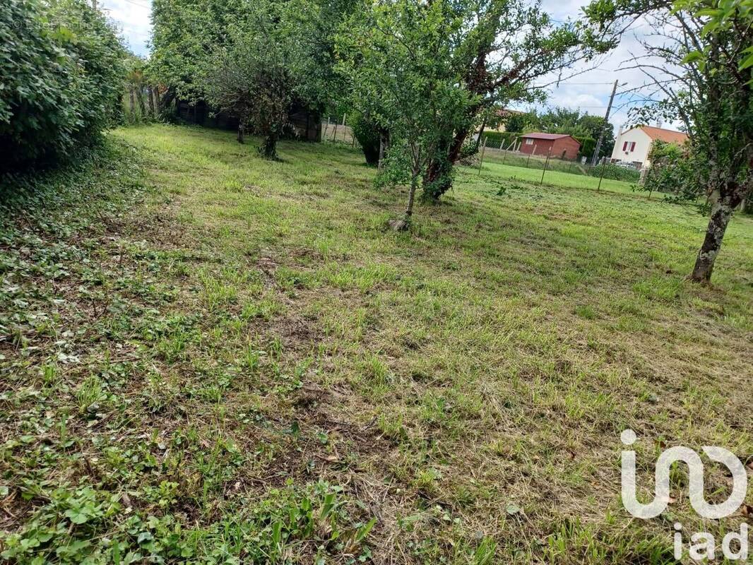 Photo 1 - Terrain à CHAMPAGNE-SAINT-HILAIRE