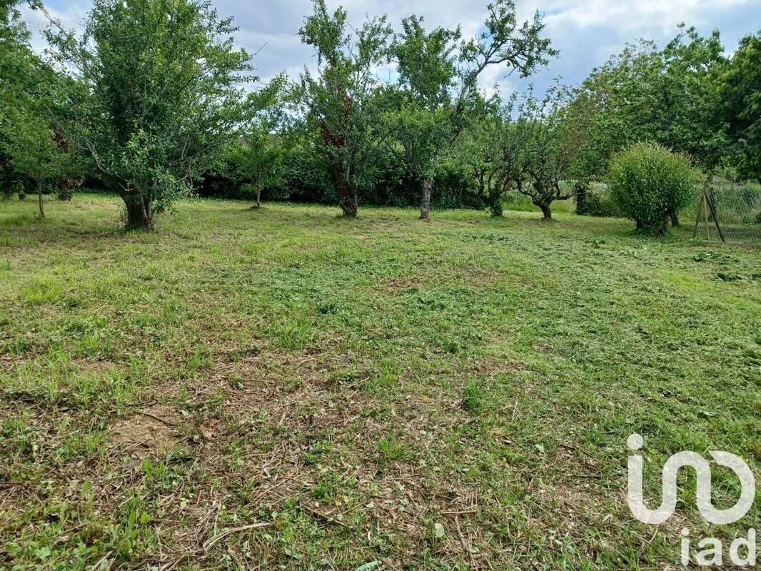 Photo 3 - Terrain à CHAMPAGNE-SAINT-HILAIRE