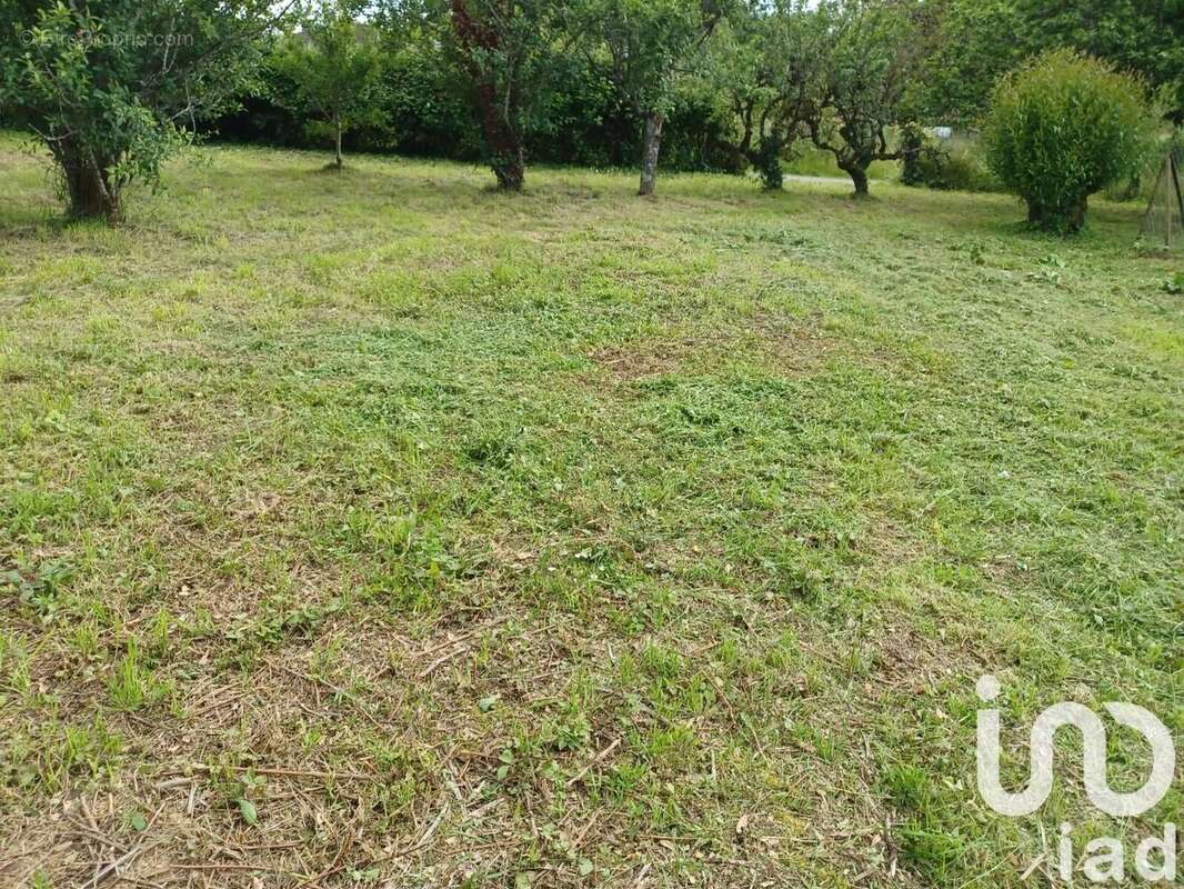 Photo 4 - Terrain à CHAMPAGNE-SAINT-HILAIRE