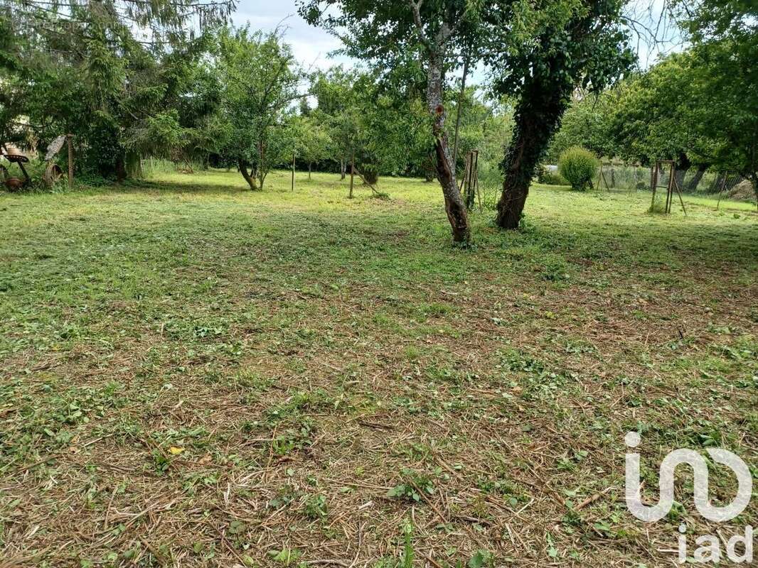 Photo 5 - Terrain à CHAMPAGNE-SAINT-HILAIRE