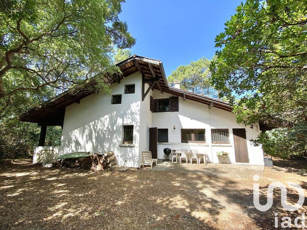 Photo 1 - Maison à SAINT-JULIEN-EN-BORN