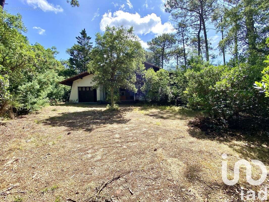 Photo 2 - Maison à SAINT-JULIEN-EN-BORN