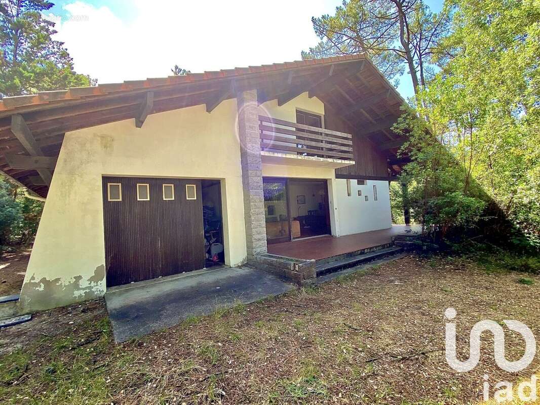 Photo 3 - Maison à SAINT-JULIEN-EN-BORN