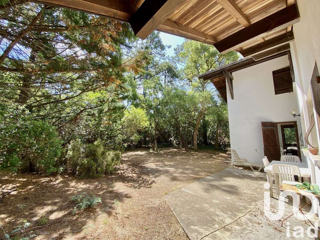 Photo 4 - Maison à SAINT-JULIEN-EN-BORN