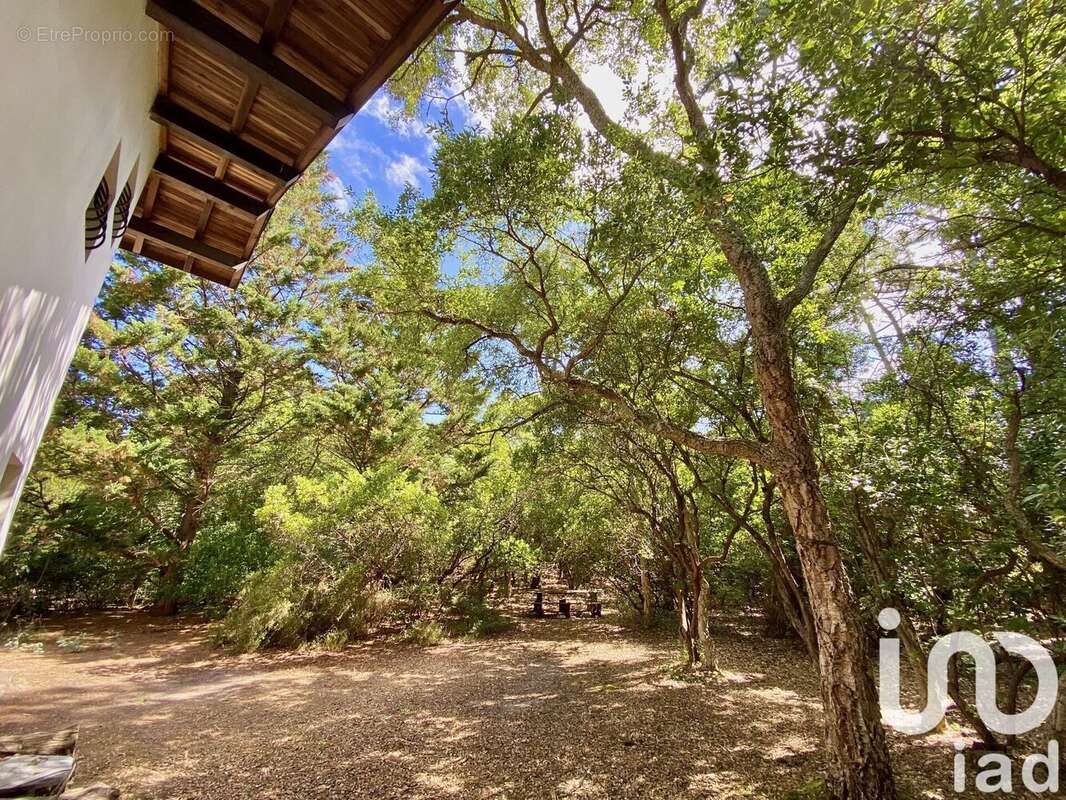 Photo 5 - Maison à SAINT-JULIEN-EN-BORN