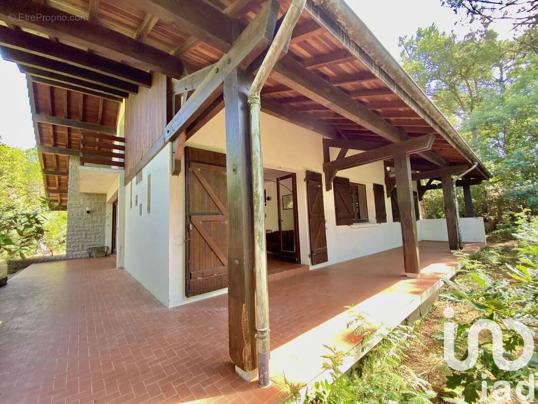 Photo 6 - Maison à SAINT-JULIEN-EN-BORN