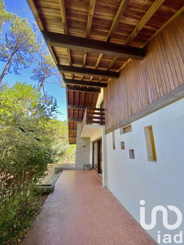 Photo 8 - Maison à SAINT-JULIEN-EN-BORN