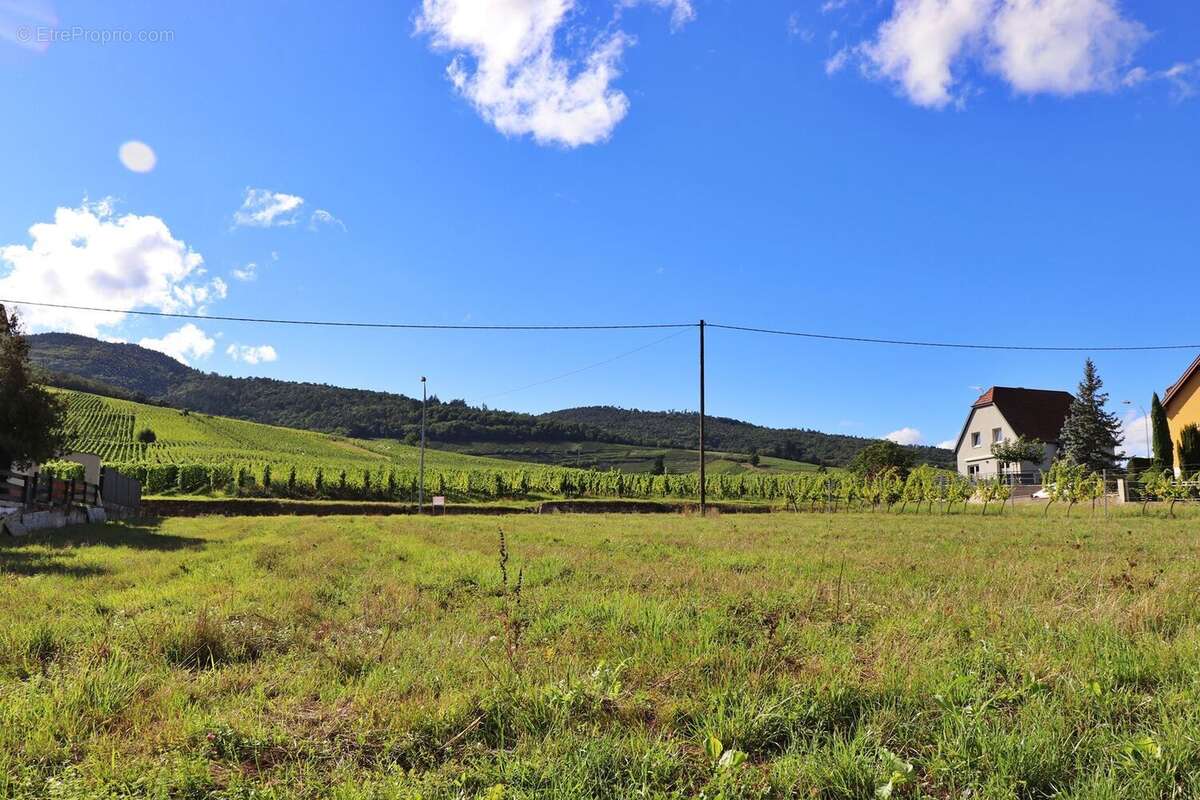 Terrain à DAMBACH-LA-VILLE