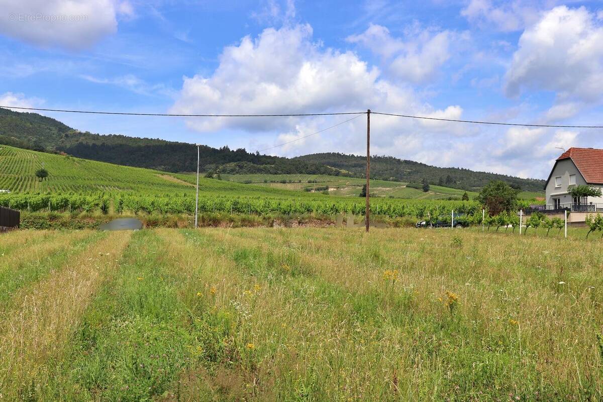 Terrain à DAMBACH-LA-VILLE