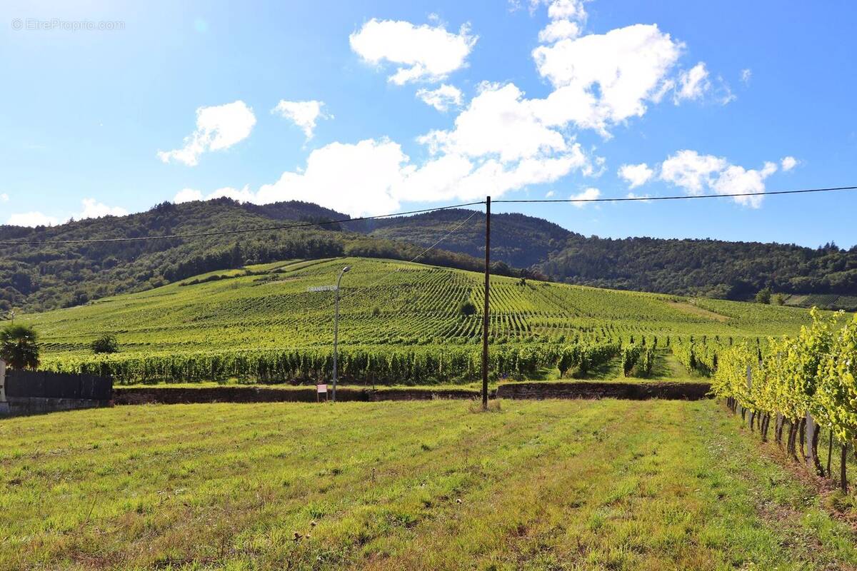 Terrain à DAMBACH-LA-VILLE