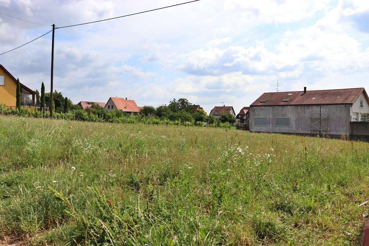 Terrain à DAMBACH-LA-VILLE