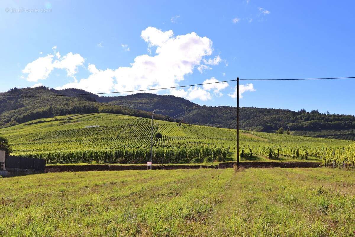 Terrain à DAMBACH-LA-VILLE